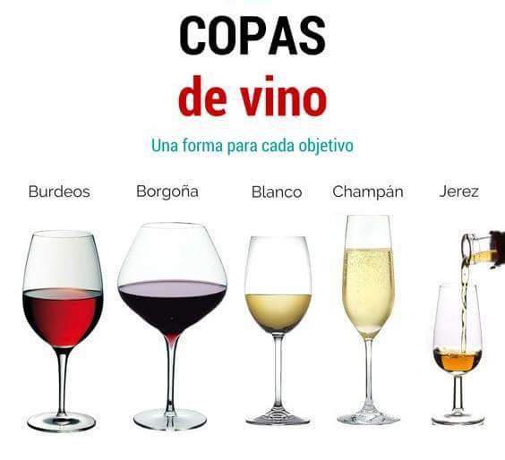 Valle de Casablanca (@vallecasablanca) on Twitter photo 