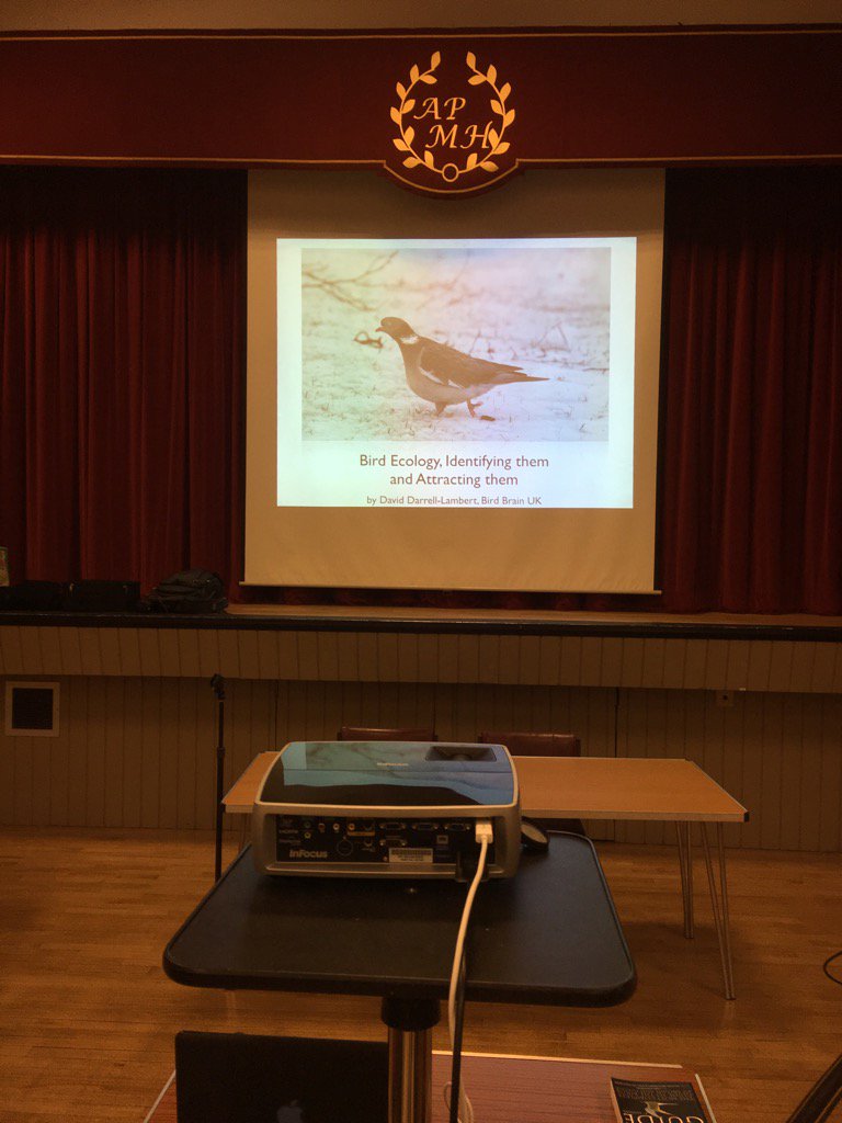 birdbrainuk's tweet photo. From #BOUsci16 to Ashtead Horticultural Society #rainbowaffectbyiphone a busy day! @IBIS_journal https://t.co/t1SMqSdUvR