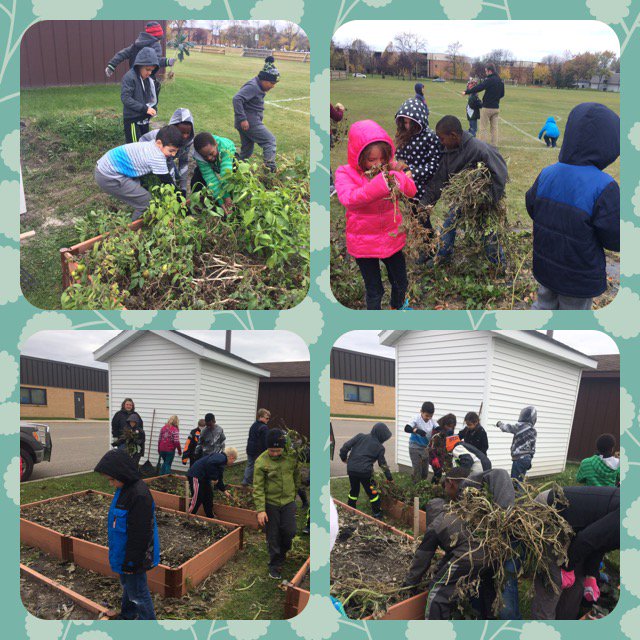 MsDarling3's tweet photo. Cleaning up the garden with @MrVoss3rd 's class was so much fun! #MsDs3s #MV3 #gfschools https://t.co/2oF6126YTD