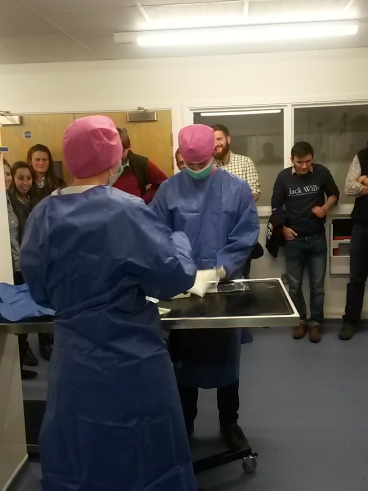 Hadleigh_YFC's tweet photo. Getting gowned up ready for surgery @VetsCentre https://t.co/NJYVbUeDJG