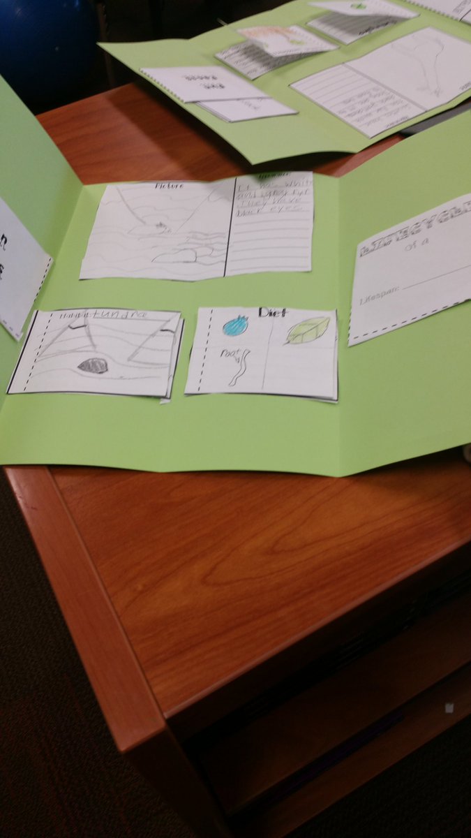 mscraig3rd's tweet photo. We have been working very hard on our animal research projects this week! Excited for the presentations this afternoon! More pics to come😊 https://t.co/zL9nwVbXBQ