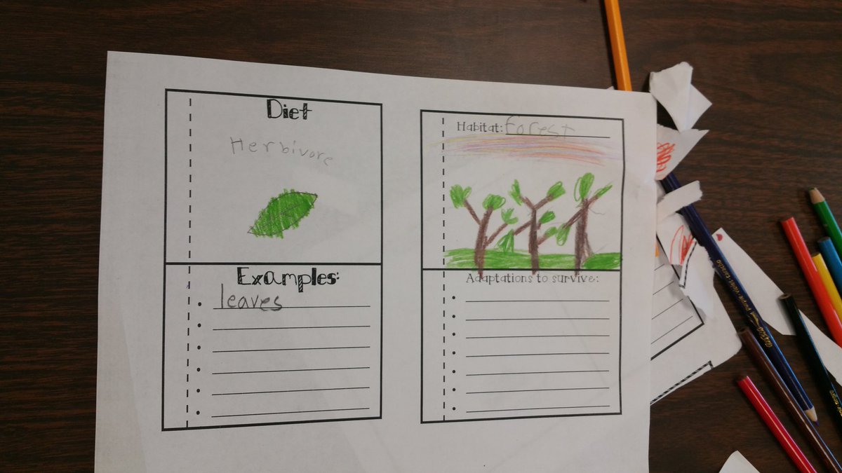 mscraig3rd's tweet photo. We have been working very hard on our animal research projects this week! Excited for the presentations this afternoon! More pics to come😊 https://t.co/zL9nwVbXBQ