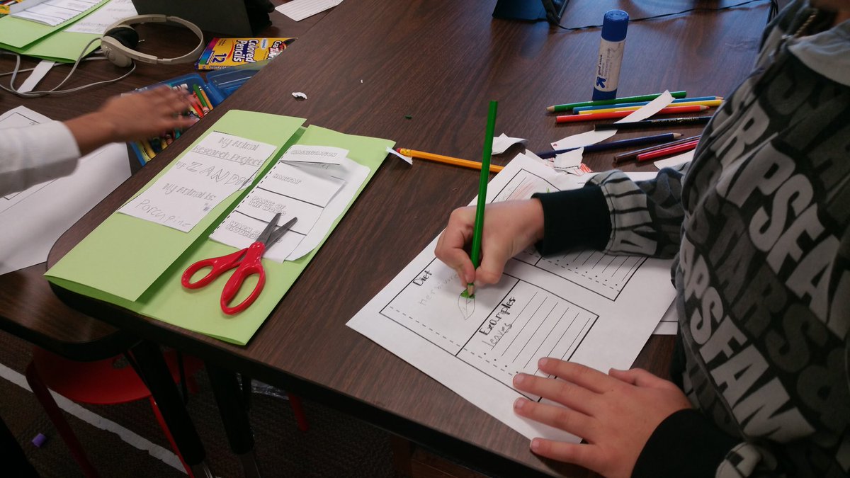 mscraig3rd's tweet photo. We have been working very hard on our animal research projects this week! Excited for the presentations this afternoon! More pics to come😊 https://t.co/zL9nwVbXBQ
