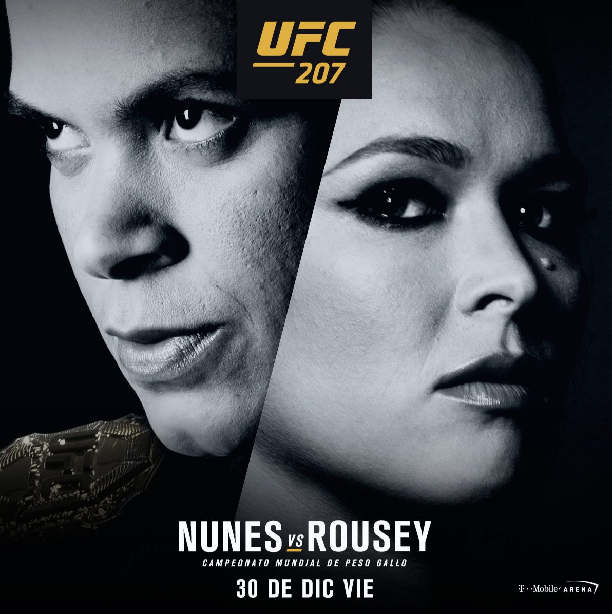 Amanda Nunes tweet media