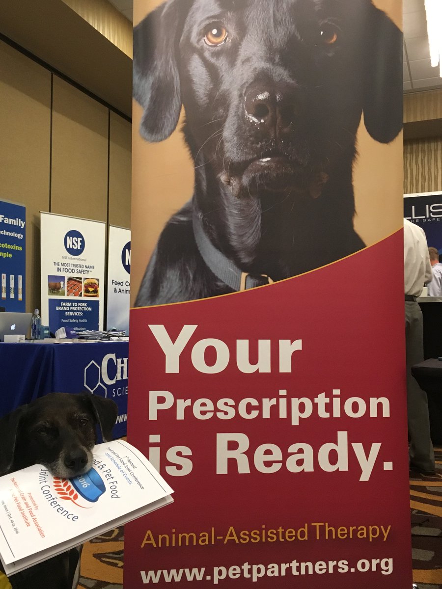 Pet Partners (pet_partners) Twitter