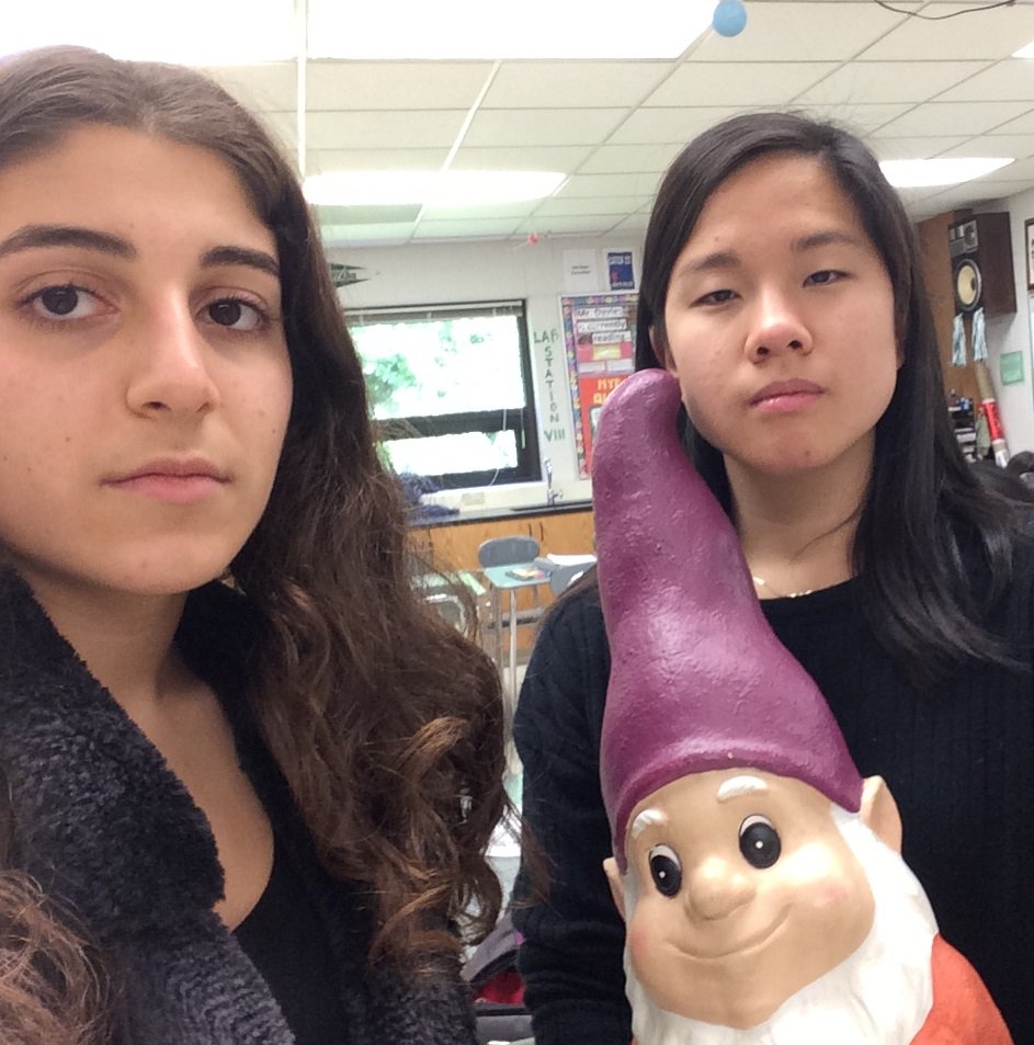 cachennessy's tweet image. Who&apos;s more serious about #MathHL than these two?  Gnomebody.  #Icanthelpit #punsfordays #HLBuddies #iarocks #scioly @daviesbrad @StudentsIA