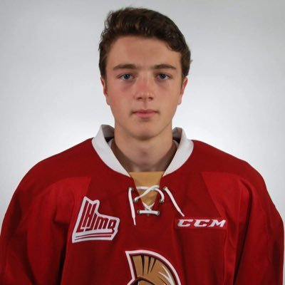 HockeyPEI's tweet photo. Congrats to @dobby_52 on being selected to @HockeyCanada National U17 program for the World Hockey Challenge.  #welldeserved #PEIpride https://t.co/D0iUKY1BmP