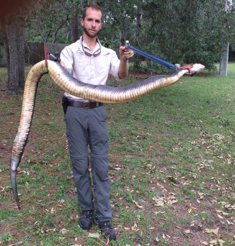 Apparently this snake was found by my kids school in our neighborhood!!!!! Yes. I'm totally freaked out.