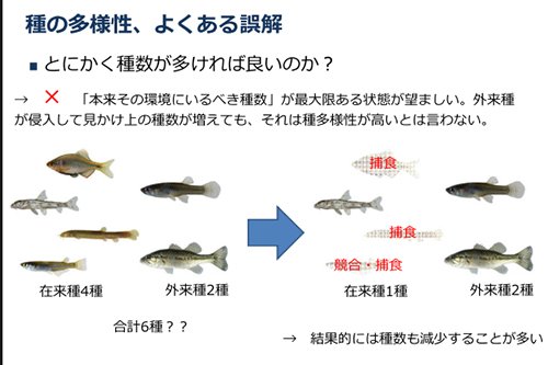 生物多様性保全にかんするよくある誤解について描いたイラストがわかりやすい Togetter