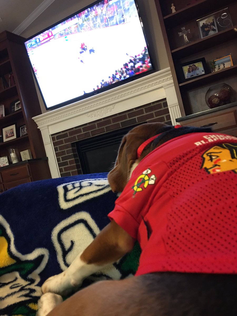 NMckone05's tweet photo. Louie's first @NHLBlackhawks game! #GoHawks https://t.co/K8tm839MGm