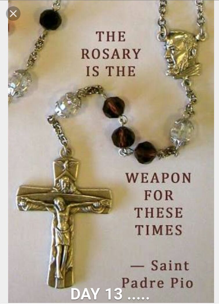 Day 13: The rosary is the weapon for these times . - St. Padre Pio #bulanRosario