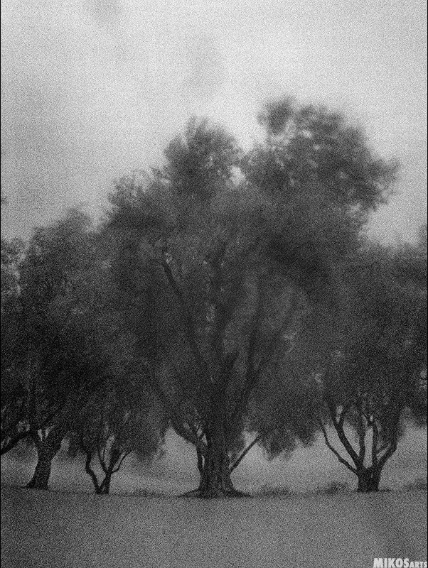Black &amp; White Photography #followart #photo #art #mikos #arts #blackandwhite #fineart #twitart #arttwit #photography