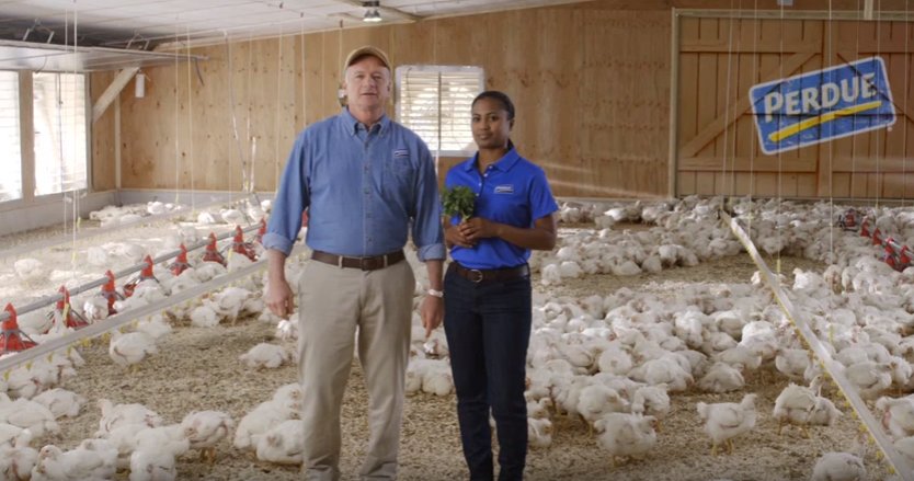 kimmielou2000's tweet photo. See how @PerdueChicken raises chickens with no antibiotics ever! #Promotion #PerdueCrew - https://t.co/rXmgY9UOFp https://t.co/CrWFIYMQ6l