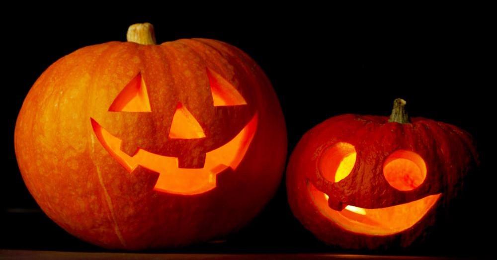 fundemonium2000's tweet image. #SensoryProjects are so much fun, especially around Halloween time! Check out these great ideas! #HalloweenProjects bit.ly/2dtriQ4