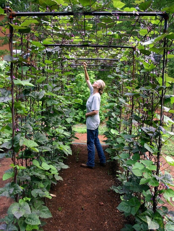 Check out this super easy Raised bed garden ... - #gardens #garden #gardening #landscaping gardenstoday.xyz/check-out-this…