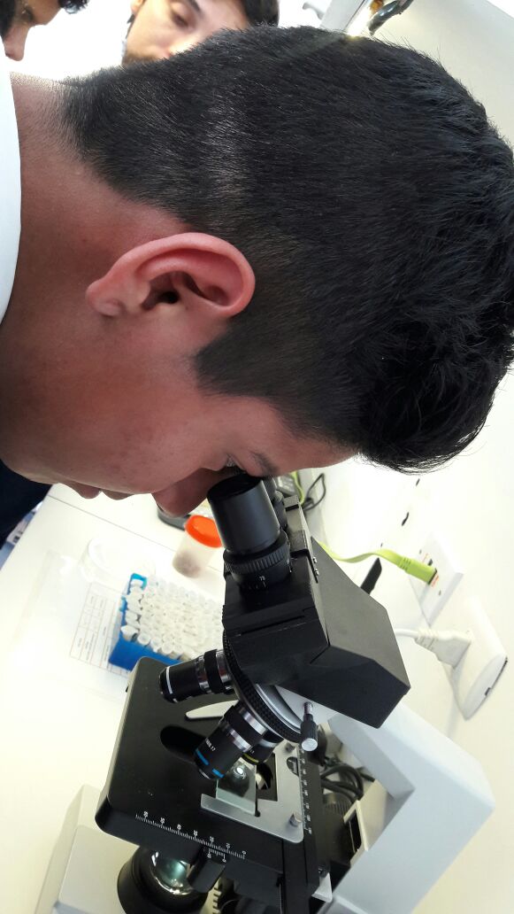 LiceoGCordovez's tweet photo. Hoy la Academia de Ecología y Medio Ambiente, llevó a los estudiantes a visitar dependencias del @cienciaceaza 📚🔎📉🔬 https://t.co/q6wxS7TcJS