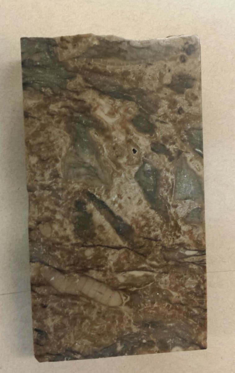 UofA EAS Collections tweet media