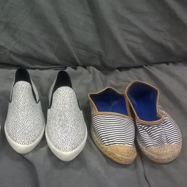 MoveFwdMN Drop In tweet media