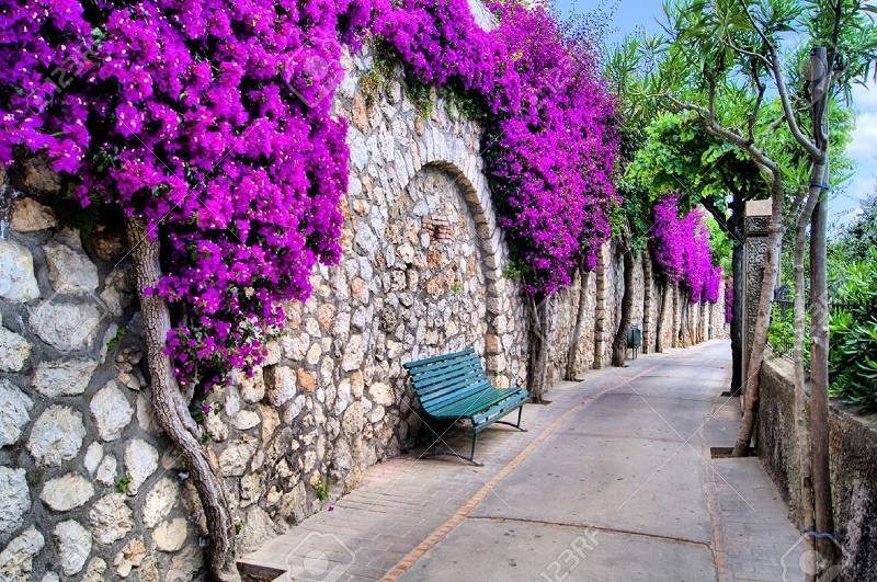 Capri, Italy - #gardens #garden #gardening #landscaping gardenstoday.xyz/capri-italy-3/