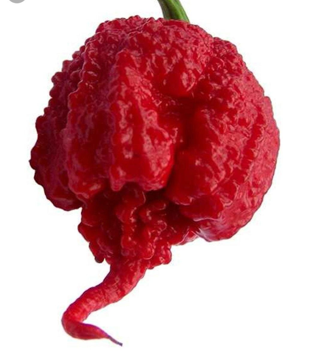 Are you ready for a challenge Buns fans? <a href="/UrbanFoodFest/">Urban Food Fest</a> #Shoreditch 22/10 &amp; 29/10 Eat a FLAMING BUM Britain's hottest burger #bhutjolokia