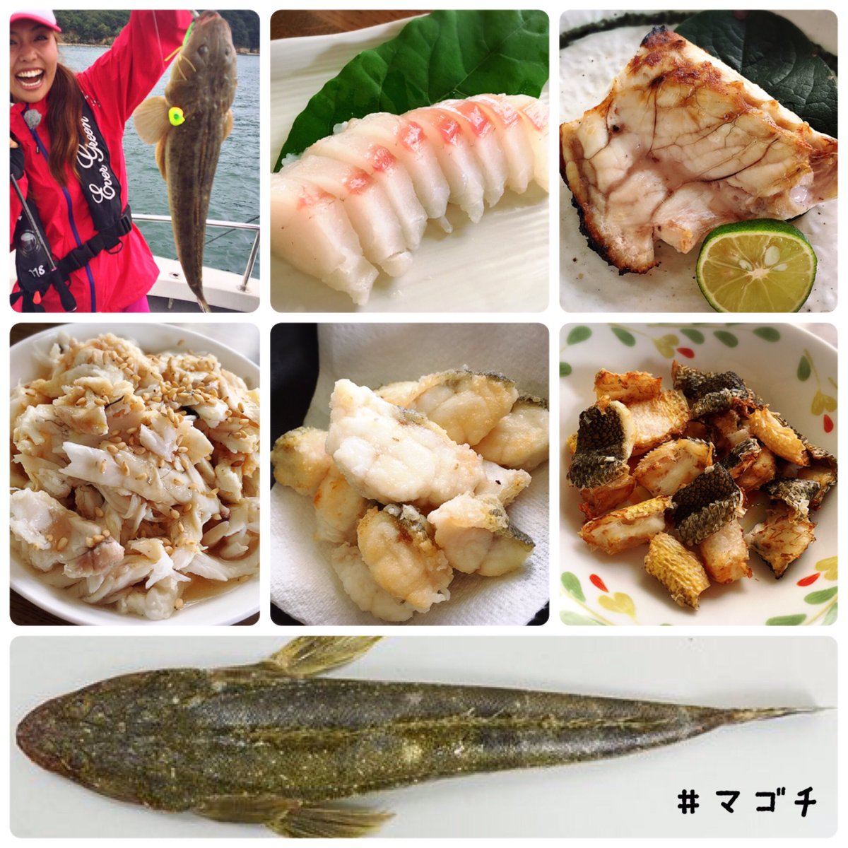 ペルビー貴子 昨日のルアチャンで登場したマゴチ 初めて料理させていただきましたぁ お刺身 塩焼き 天ぷら 皮せんべい 〆中落ち いろんな捌き方がいあって面白いッ 釣りって良いですね ペルビー貴子 昨日のルアチャンで登場したマゴチ 初めて料理させていただきましたぁ お刺身 塩焼き 天ぷら 皮せんべい 〆中落ち いろんな捌き方がいあって面白いッ 釣りって良いですね