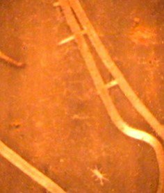 Andrew Leakey tweet media