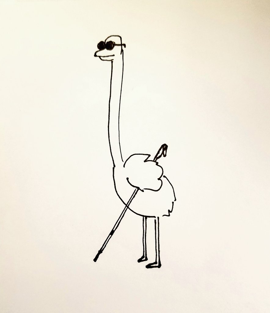 thisisrabbit's tweet photo. Blind ostrich. 
#doodle #bird https://t.co/VOBgCPxXix