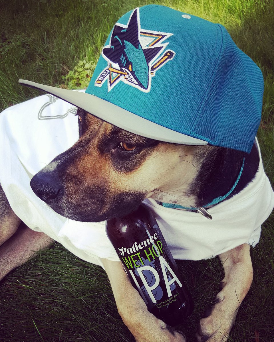 Kölschi is ready for Sharks Opening Night; are you? Get SJ beer from New World Ales! #SJSharks #OpeningNight #BeatLA