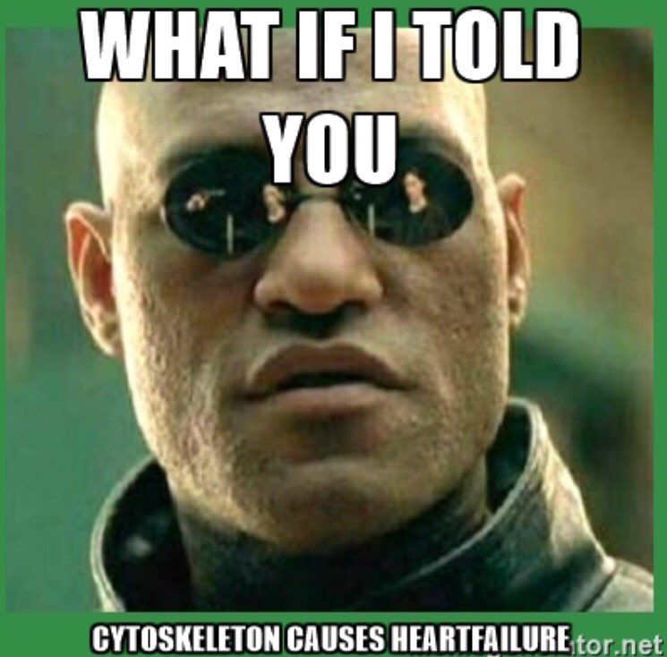 RibosomesEAHS's tweet photo. Why would anyone want that? #organellesFTW #voteribosomes https://t.co/Ft0vB5exe6