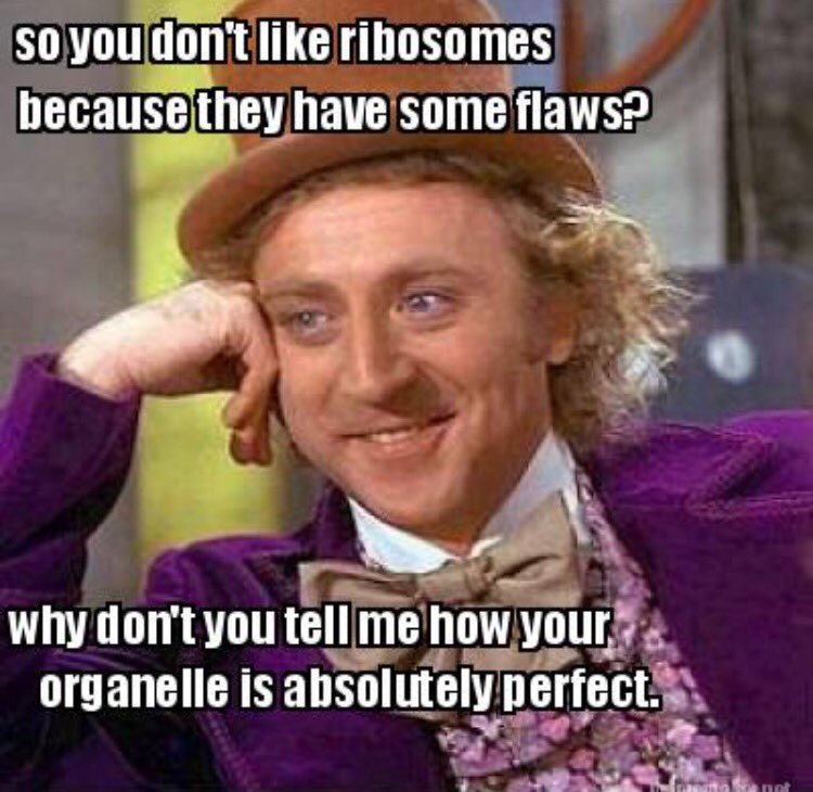 RibosomesEAHS's tweet photo. #voteribosomes #organellesFTW https://t.co/dNJK0Vjb2X