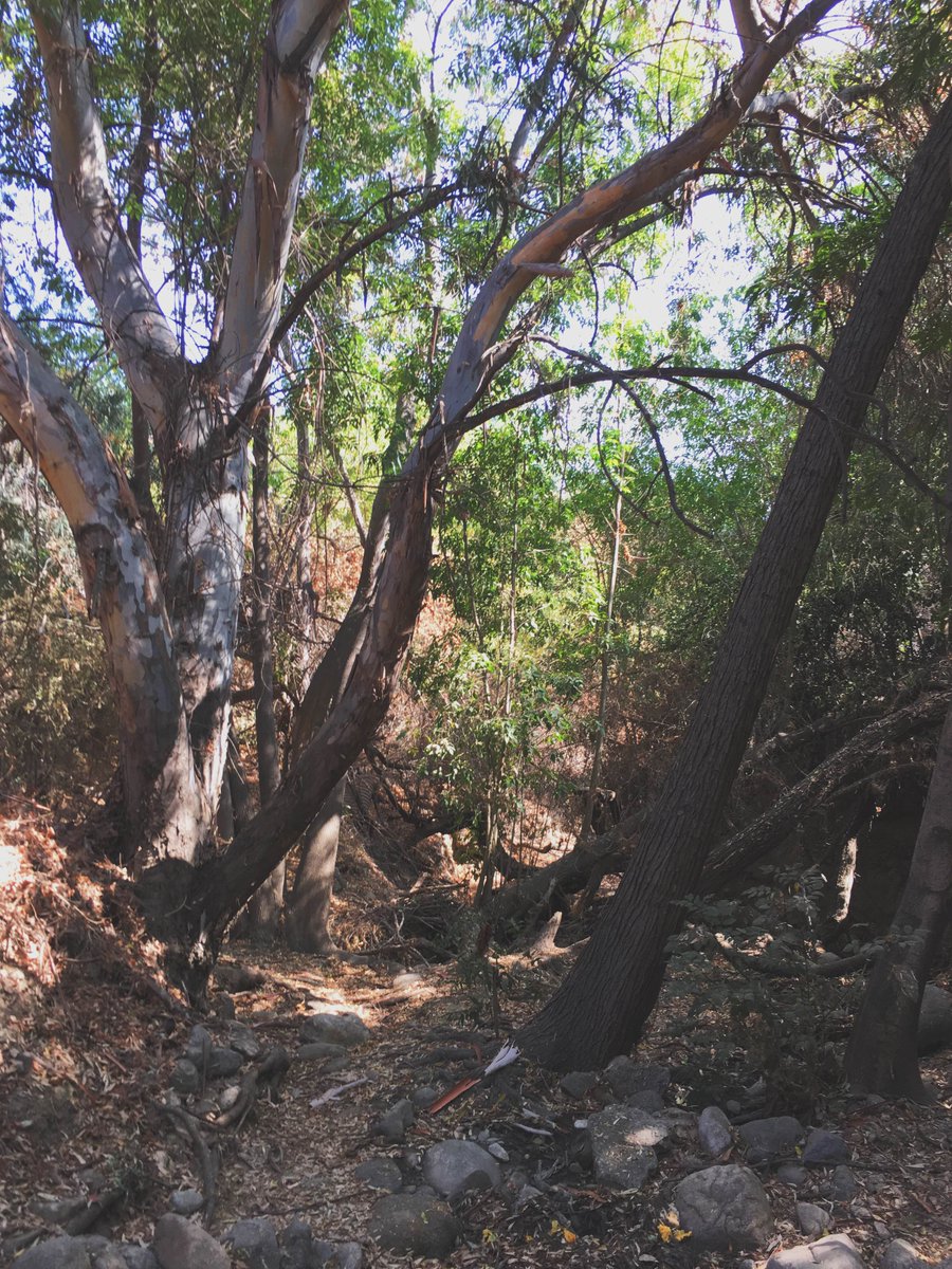 KPbags's tweet photo. Ran into so much nice scenery while #shooting the Zero-G #backpack https://t.co/x2vE1fNlGy