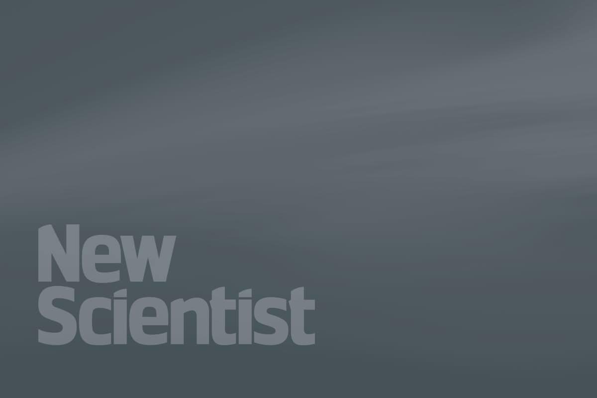 New Scientist tweet media