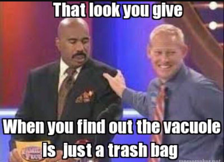 RibosomesEAHS's tweet photo. Why would you vote for a trash bag? #voteribosomes #organellesFTW https://t.co/4mDzUB836I