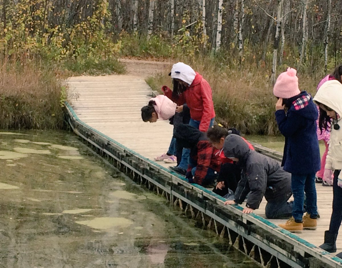 JennaRKennedy's tweet photo. #FortWhyteAlive was incredible! We learned about nature, animals, and Manitoba's heritage. #strathconawsd https://t.co/FE6HHxc4hc
