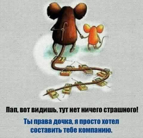 КСУ начнет рассматривать конституционность лишения Януковича звания Президента 19 октября - Цензор.НЕТ 1422