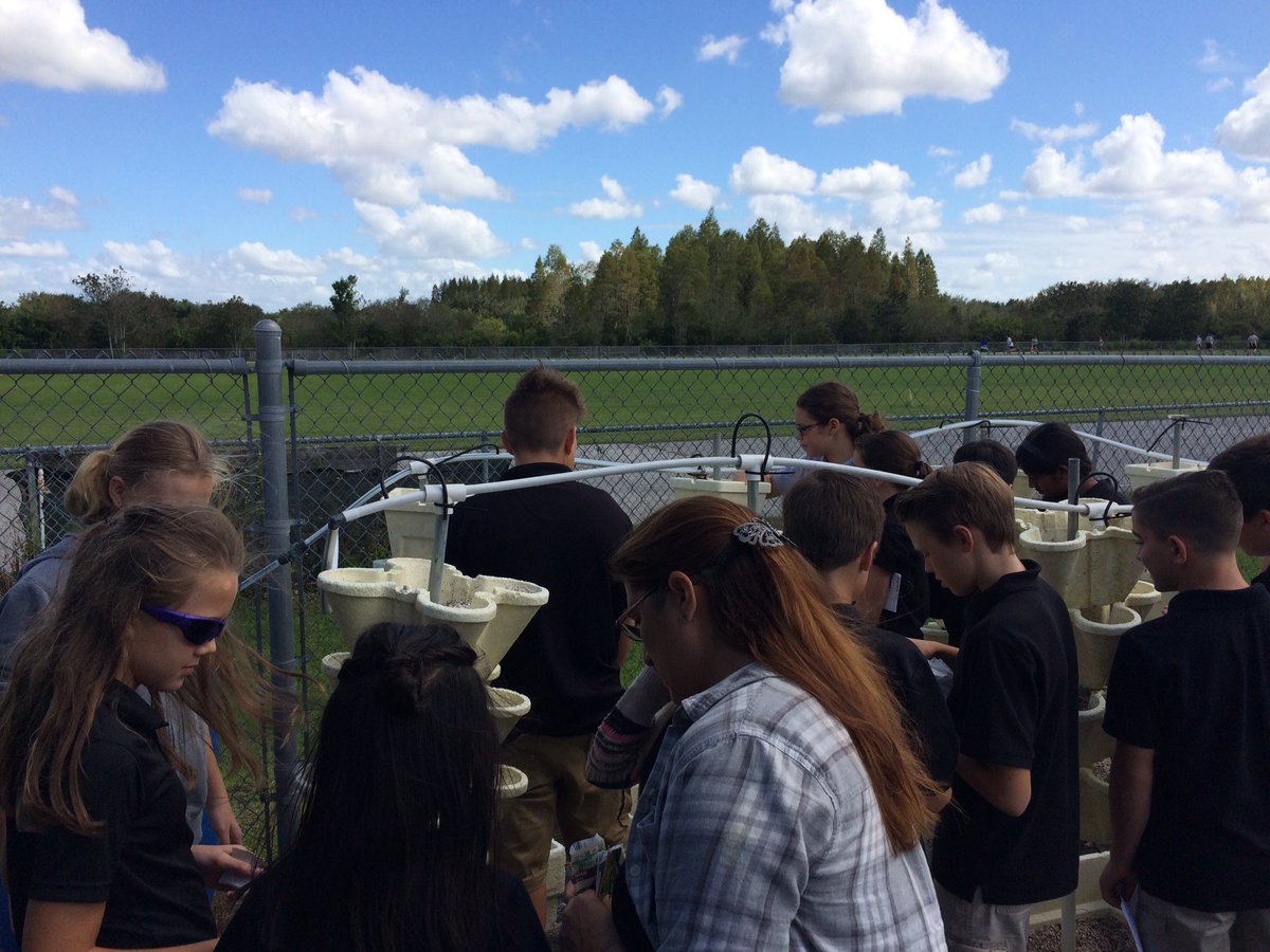 BobMartinezMS's tweet photo. @BobMartinezMS 6th grade students learning about hydroponics today. https://t.co/RS3fzzKSNC