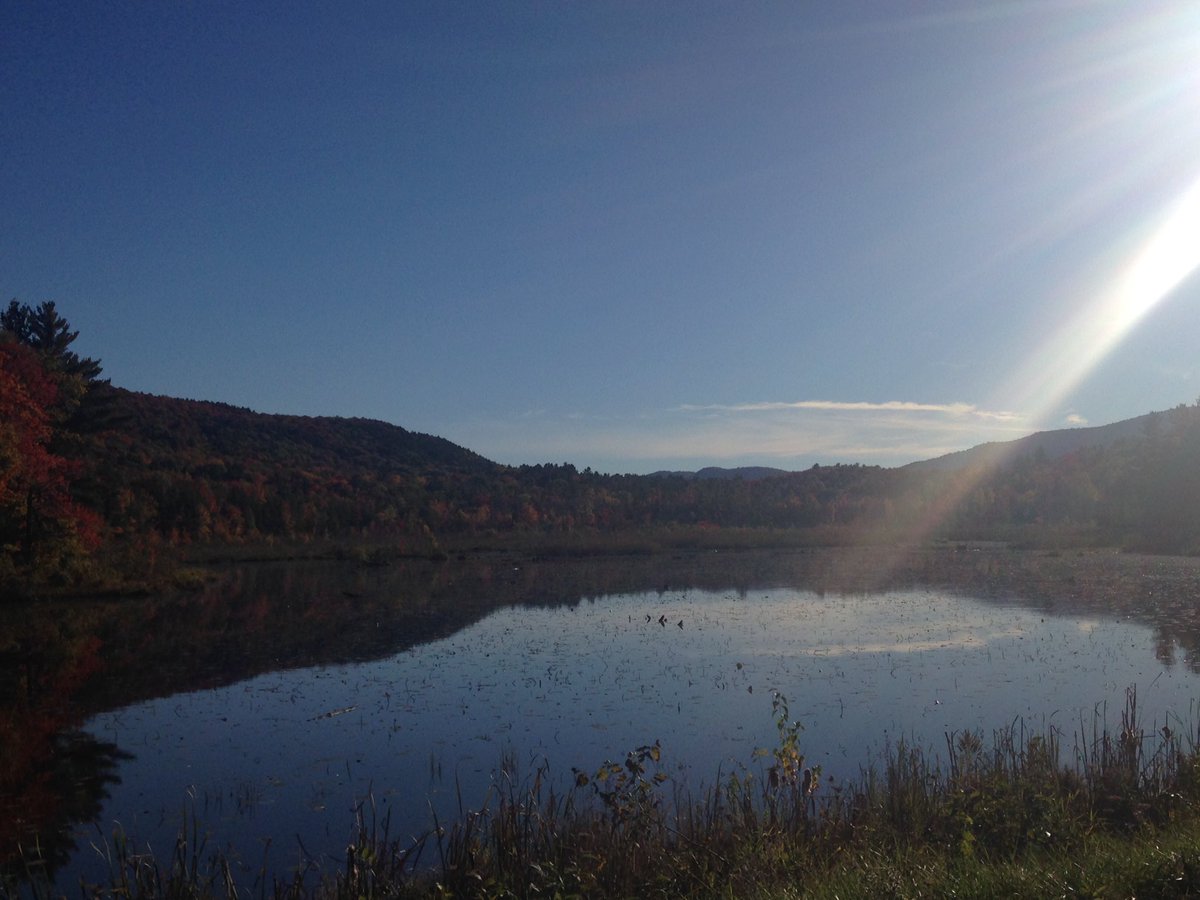 JeffLAlexander's tweet photo. Drive past this #pond everyday &amp; 2day it made the shot list #vt #fall #foliage #WUTV #Tacoma #greenmountains #leafpeeping #winter is next https://t.co/02Bh4K2jeA