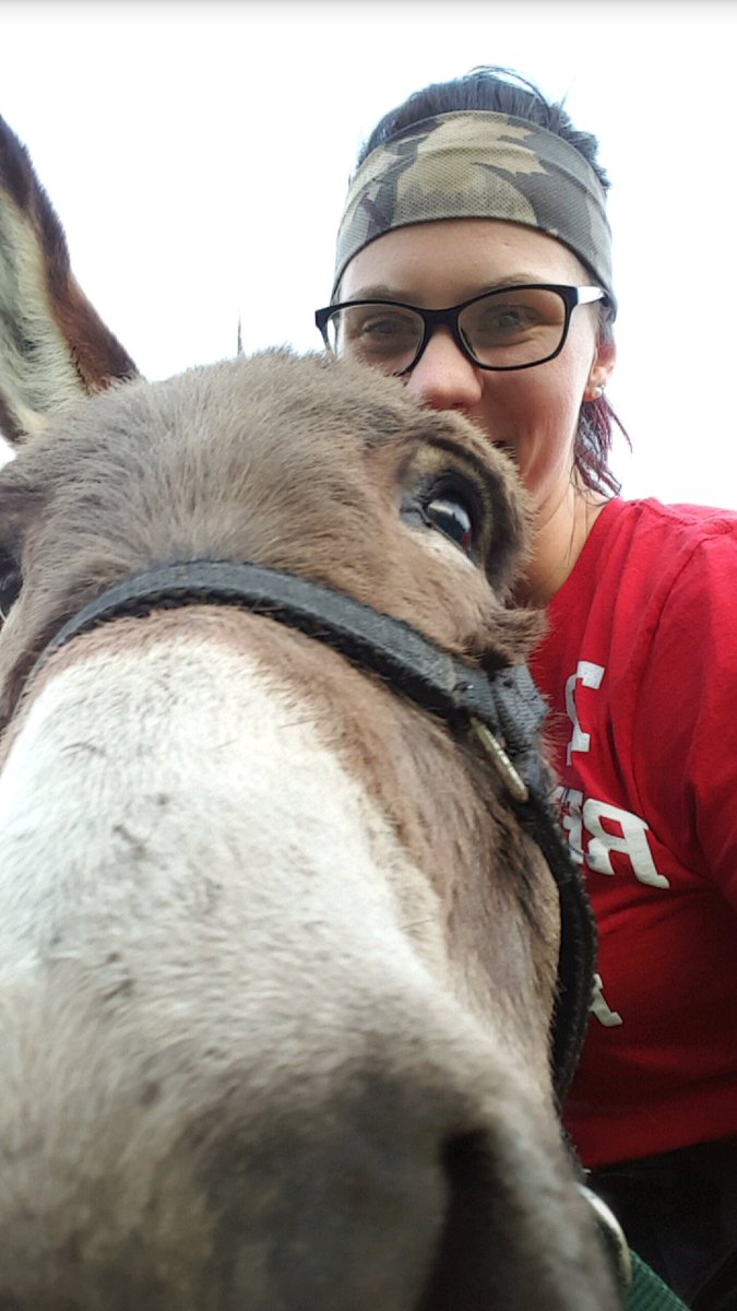 km_wealch's tweet photo. Because rio is so cute #minidonkeyappreciation https://t.co/QBRXr2XbAw
