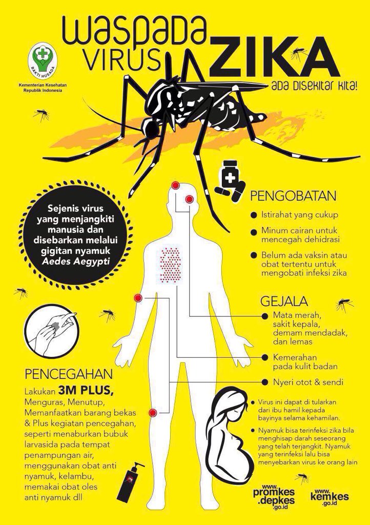 Waspada Virus Zika