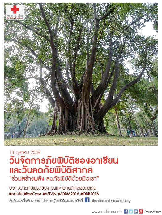 ThaiRedCross's tweet photo. 13 ตุลา วันจัดการภัยพิบัติของอาเซียนและวันลดภัยพิบัติสากล #RedCross #ASEAN #ADDM2016 #IDDR2016 รับของที่ระลึกฟรี https://t.co/CkWHJ7Mr8W https://t.co/Jpyu28PqXJ