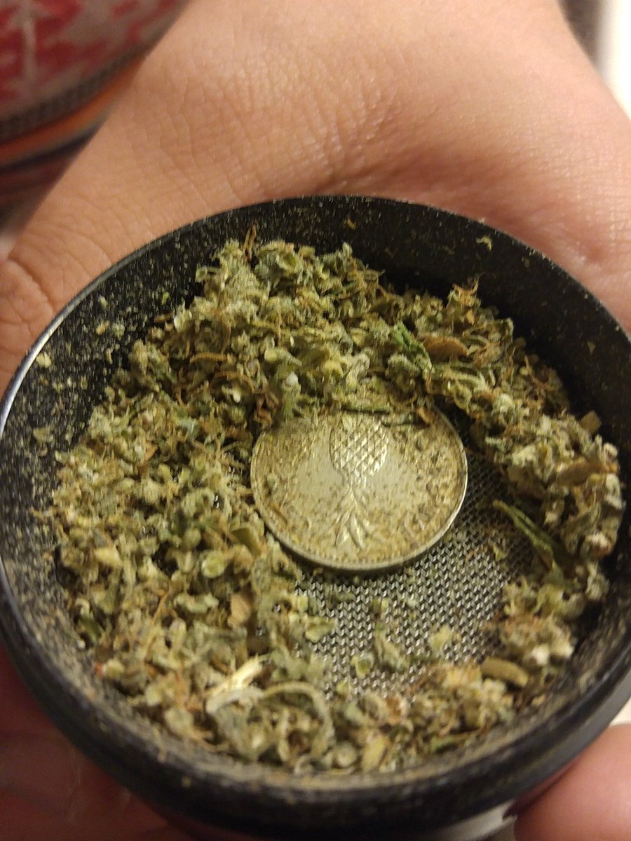 Bud_Nation's tweet photo. Enjoying some #BlueDream before watching #TheLobster. https://t.co/mRYYaP8BGN