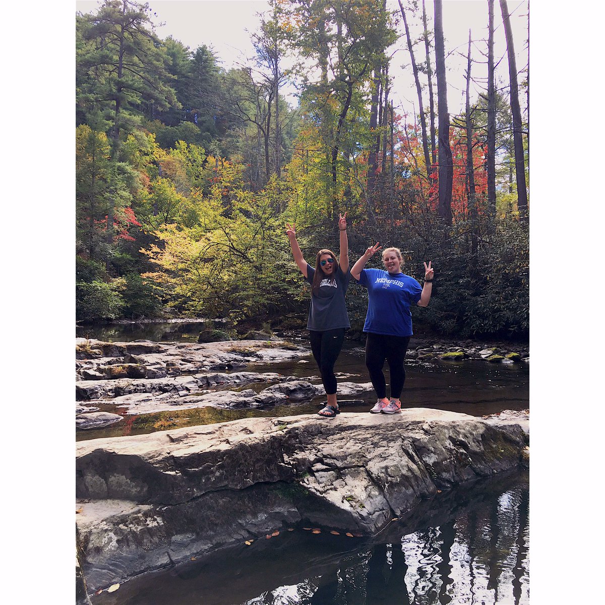 kdgallo_'s tweet photo. Gatlinburg has treated us right 🐻🗻 https://t.co/saf5q96E91