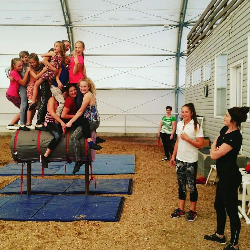 OakHillsVaulter's tweet photo. Barrel dog pile? Why not? #trottershavefun #countthekids https://t.co/1MOIlS6P8c https://t.co/XV2wQKC6RT