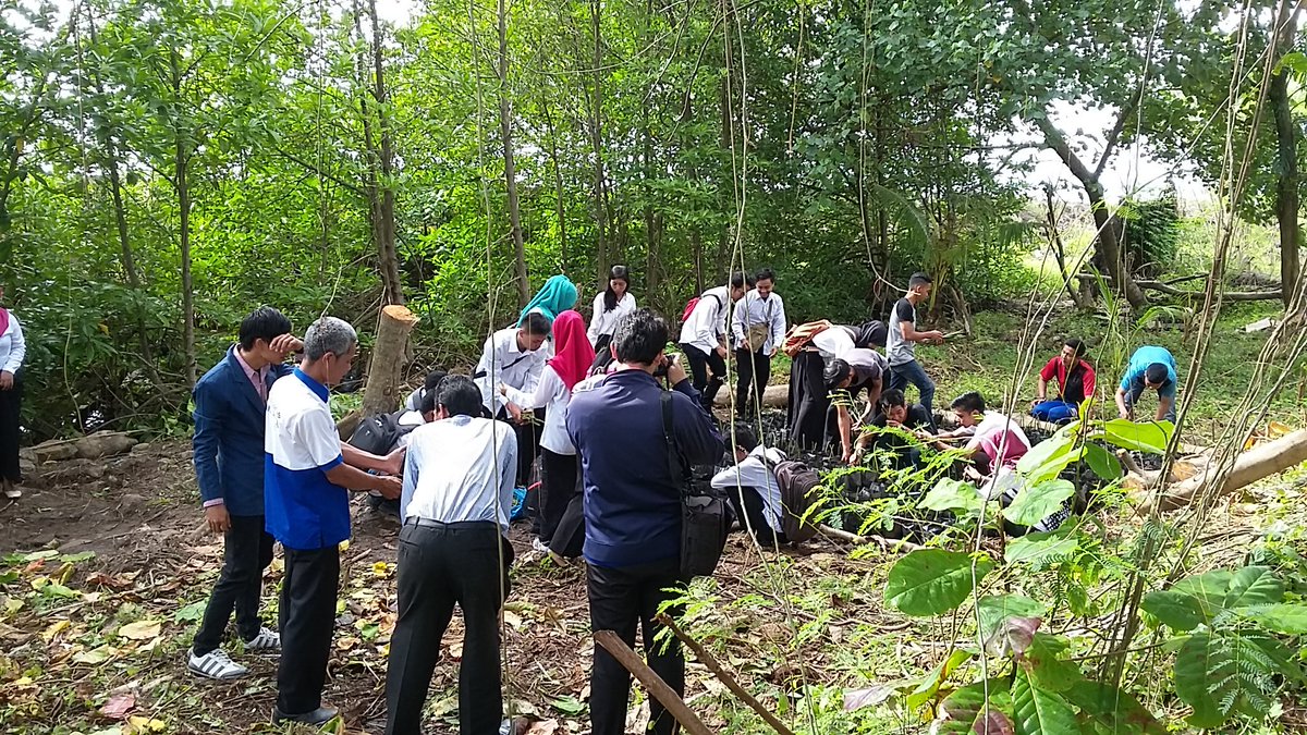 Sukses team , 10/10 2016 sore
Bemm Fpik mengadakan penanaman mangrove di Labor alam kampus 1 UBH.
