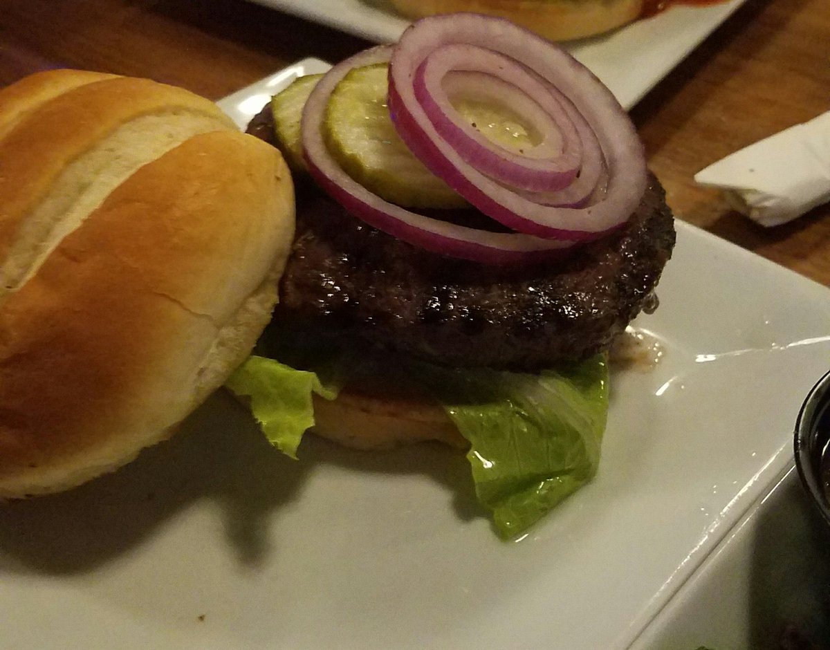 Elk burger at #Yellowstone