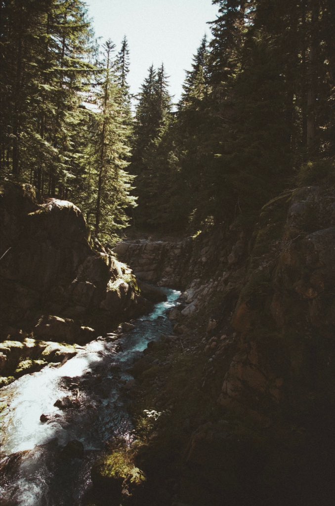 jguzmannnn's tweet image. Mt.Rainier National Park.