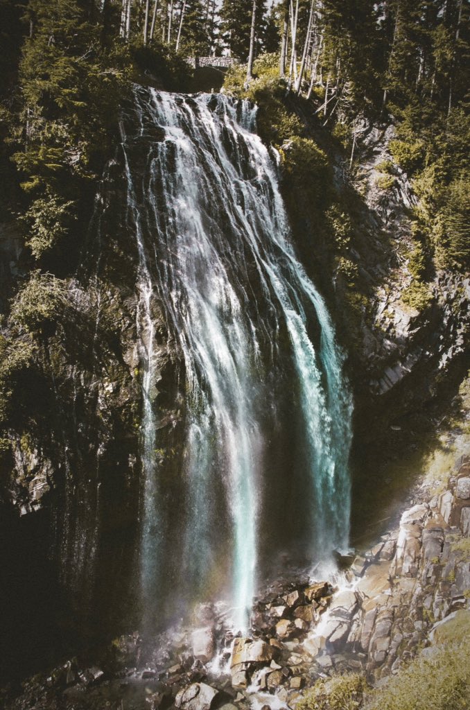 jguzmannnn's tweet image. Mt.Rainier National Park.