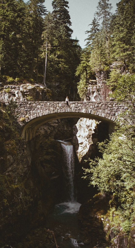 jguzmannnn's tweet image. Mt.Rainier National Park.