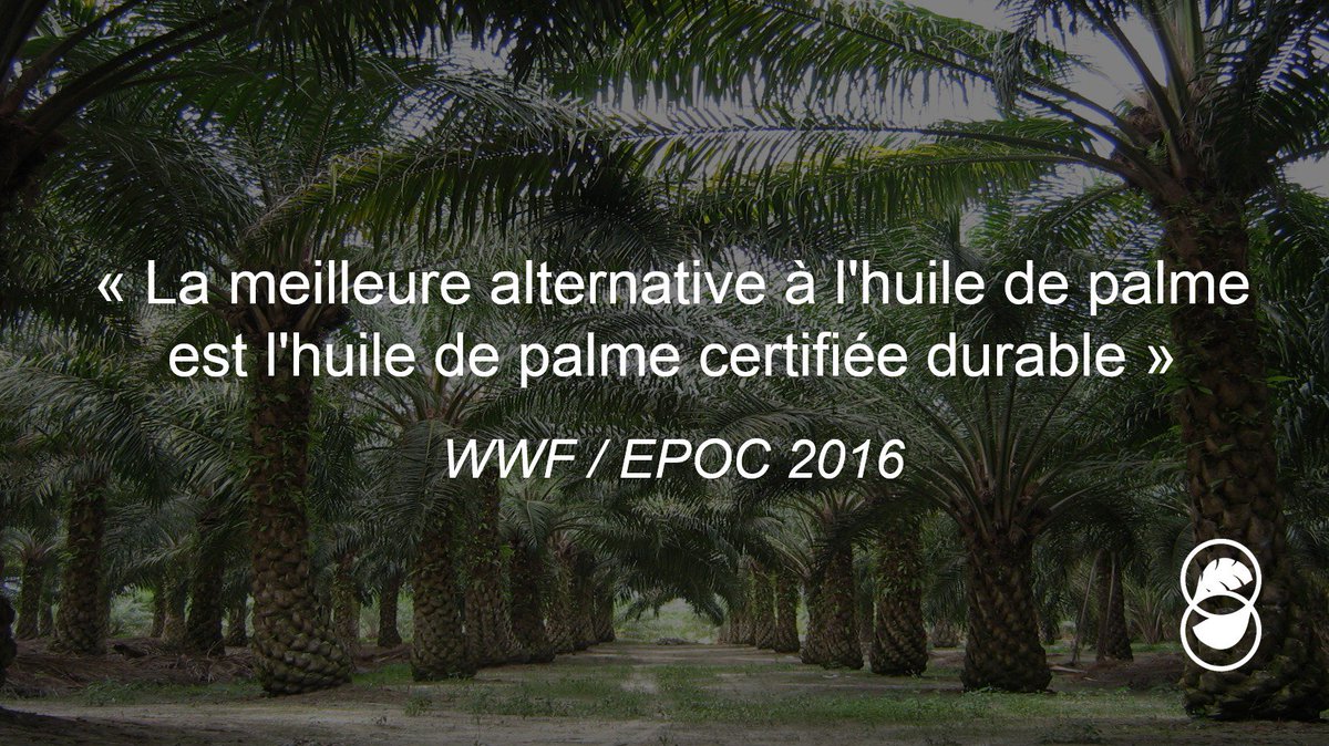 palmedurable's tweet photo. #EPOC2016 Les acteurs s’accordent sur le fait que le boycott ne résoudra pas les problèmes https://t.co/MEqyWoPHng #ZéroDéforestation https://t.co/IdeFoBzw2K