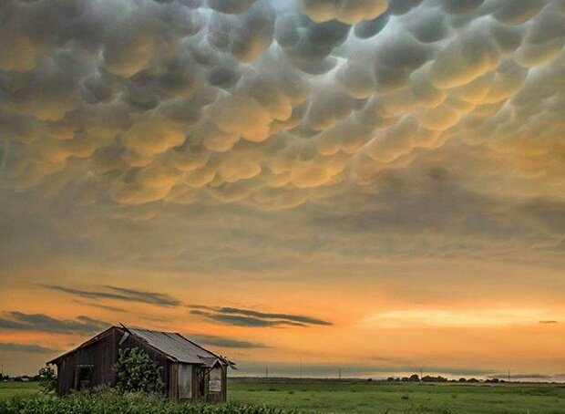ViajeroAdicto's tweet photo. Preciosa imagen en #GerorgeTown 😍 #Texas  #USA . Nubes mastodónticas 😱 https://t.co/AELw8FXXq2